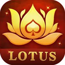 rummy yuddh download
